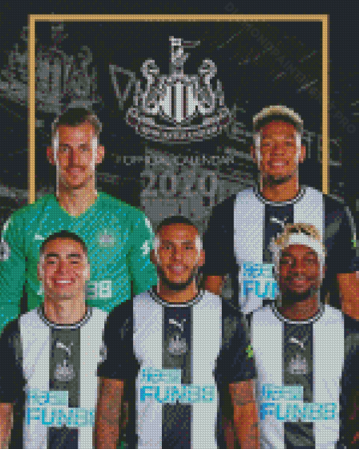 Newcastle United Players Diamond Paintings