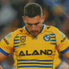 Parramatta Eels Diamond Paintings