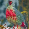 Red Blood Pheasant Diamond Paintings