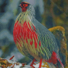 Red Blood Pheasant Diamond Paintings