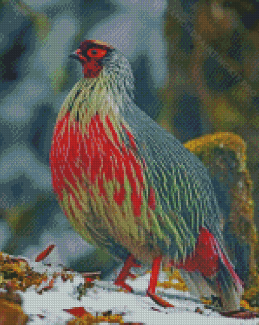 Red Blood Pheasant Diamond Paintings