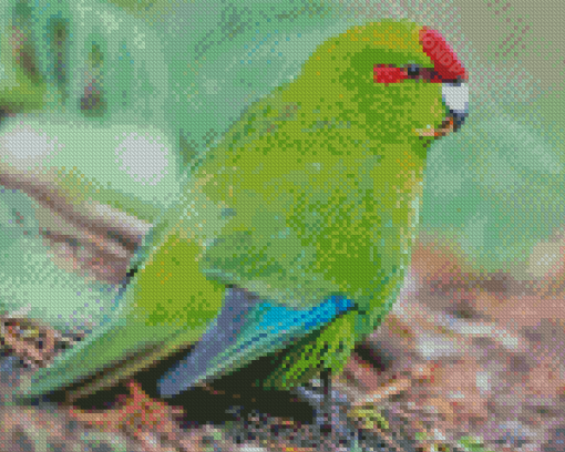 Red Crowned Parakeet Diamond Paintings