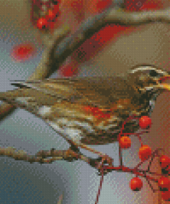 Redwing Bird Diamond Paintings