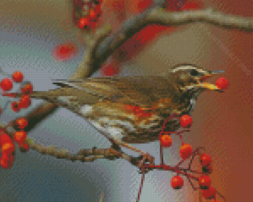 Redwing Bird Diamond Paintings