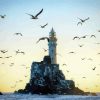 Seagulls Fastnet Lighthouse Diamond Paintings