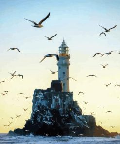 Seagulls Fastnet Lighthouse Diamond Paintings