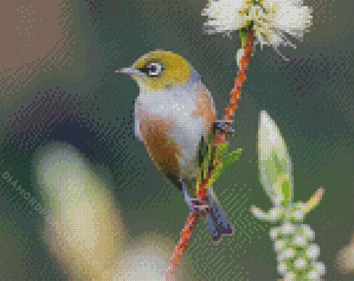 Silvereye Bird Diamond Paintings