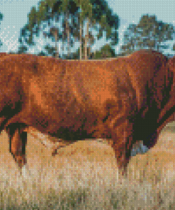 Simmental Cattle Side View Diamond Paintings