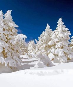Snow Covered Forest Trees Diamond Paintings