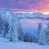 Snow Covered Trees At Sunset Diamond Paintings
