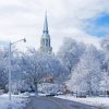 Snowy Wake Forest University Diamond Paintings