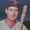 Ted Williams Diamond Paintings