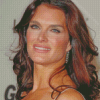 The Beautiful Brooke Shields Diamond Paintings