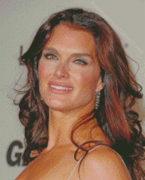 The Beautiful Brooke Shields Diamond Paintings