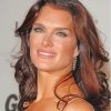 The Beautiful Brooke Shields Diamond Paintings