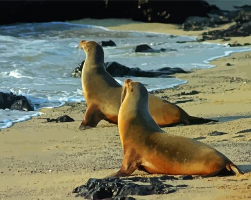 The Galapagos Sea Lions Diamond Paintings