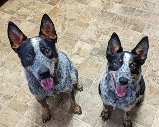 Two Texas Heeler Dogs Diamond Paintings