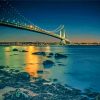 Verrazzano Narrows Bridge At Night Diamond Paintings