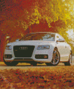 White Audi S5 Car Diamond Paintings