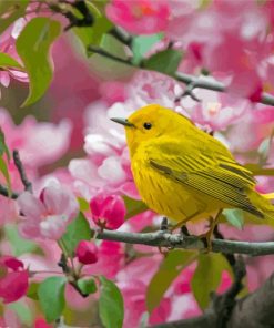 Yellow Warbler In Cherry Blossom Tree Diamond Paintings