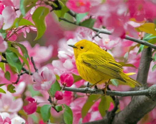 Yellow Warbler In Cherry Blossom Tree Diamond Paintings