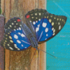 Aesthetic Great Purple Emperor Diamond Paintings