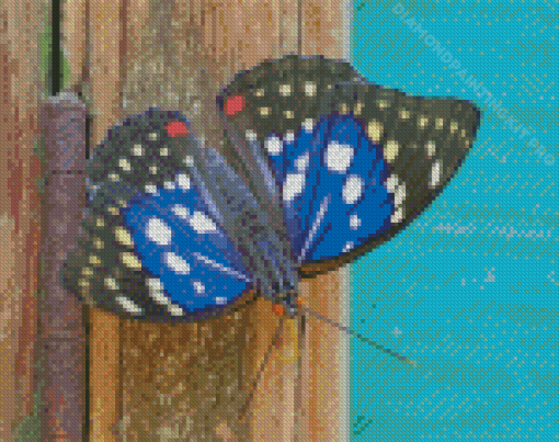 Aesthetic Great Purple Emperor Diamond Paintings