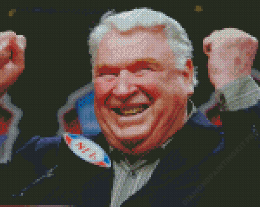 Aesthetic John Madden Diamond Paintings