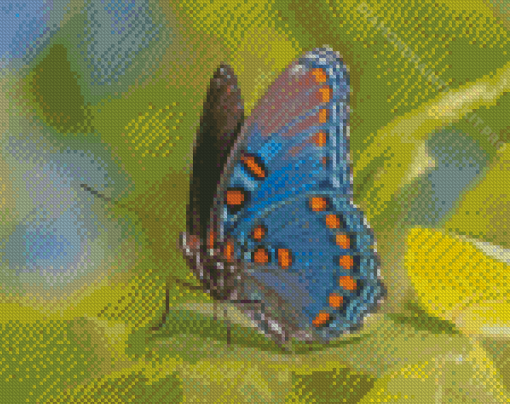 Aesthetic Limenitis Arthemis Diamond Paintings