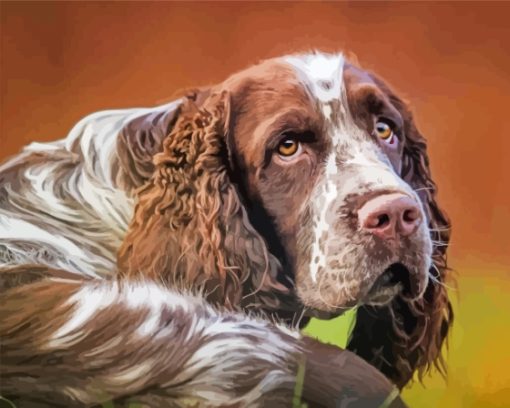 Aesthetic Springer Spaniel Diamond Paintings