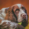 Aesthetic Springer Spaniel Diamond Paintings