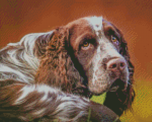 Aesthetic Springer Spaniel Diamond Paintings