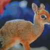 Baby Dik Dik Diamond Paintings