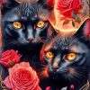 Black Cats Diamond Paintings
