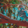 Blue Parakeet On Branch Diamond Paintings