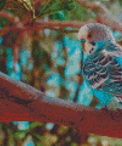 Blue Parakeet On Branch Diamond Paintings