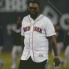 Cool David Ortiz Diamond Paintings