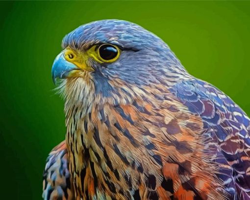 Cool New Zealand Falcon Diamond Paintings