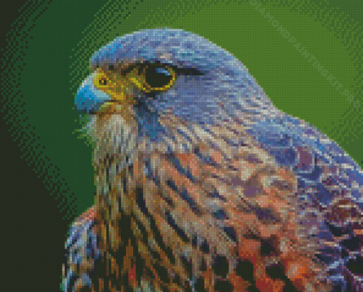 Cool New Zealand Falcon Diamond Paintings