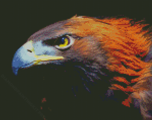 Cool Golden Eagle Diamond Paintings