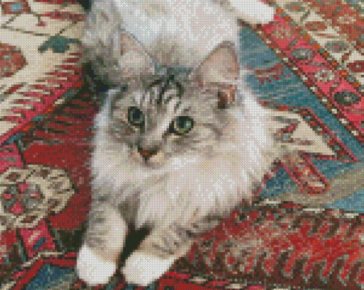Cute Cat On Persian Rug Diamond Paintings