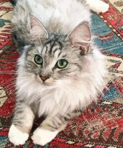 Cute Cat On Persian Rug Diamond Paintings