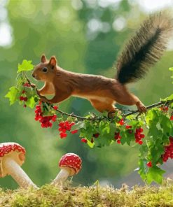 Cute Red Squirrel On A Branch Diamond Paintings