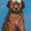 Cute Whoodle Dog Diamond Paintings