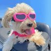 Dog Wearing Pink Glasses Diamond Paintings