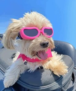 Dog Wearing Pink Glasses Diamond Paintings