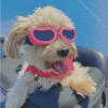 Dog Wearing Pink Glasses Diamond Paintings