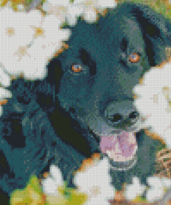 Flat Coated Retriever Cute Dog Diamond Paintings
