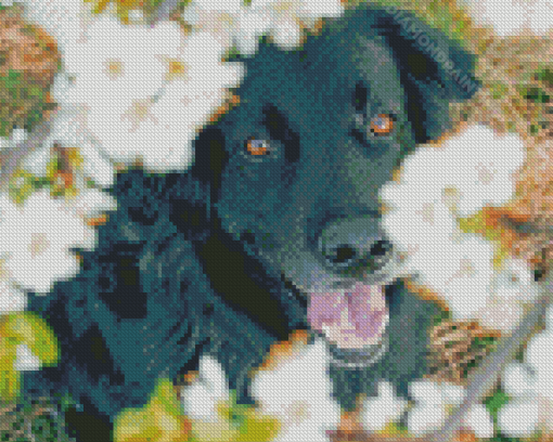 Flat Coated Retriever Cute Dog Diamond Paintings