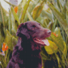 Flat Coated Retriever Pet Diamond Paintings